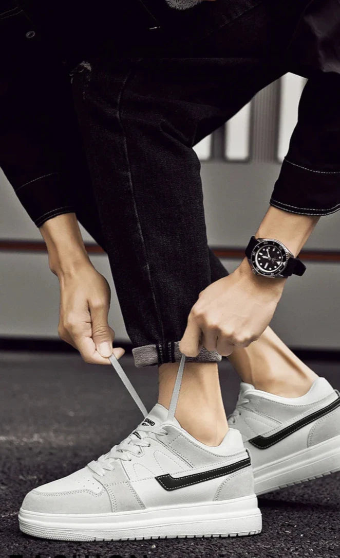 Maximilian | Baskets +6CM +8CM