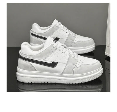 Maximilian | Baskets +6CM +8CM